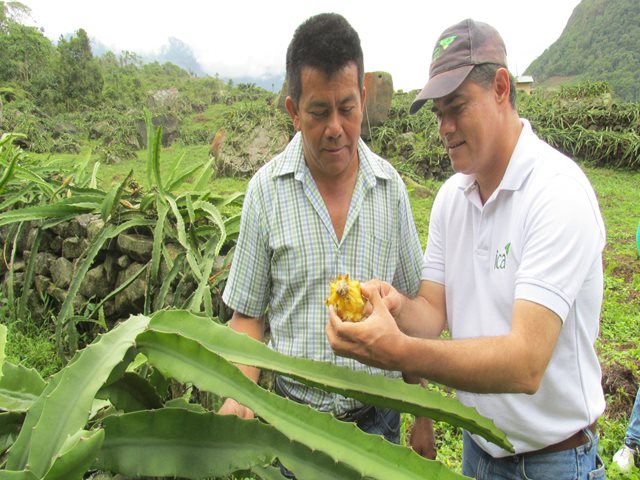 El ICA actualizó normatividad en BPA para producción primaria de vegetales inocuos y seguros para el consumo humano 