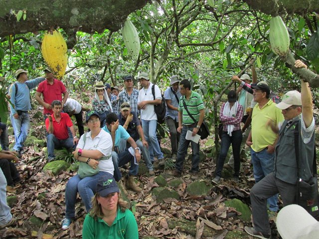 El ICA capacitó a  más de 60 cacaoteros en La Palma, Cundinamarca