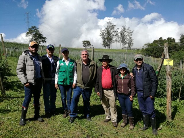 El Director regional de APHIS para América Latina y el Caribe visitó cultivos de uchuva en Cundinamarca