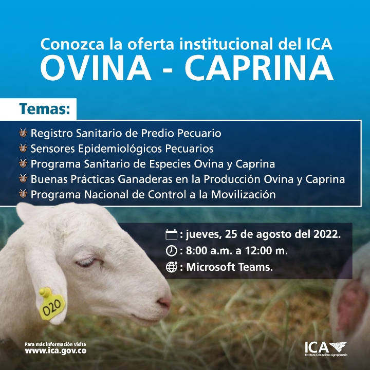 Oferta-Institcional-Ovina_Instagram.jpg Oferta-Institcional-Ovina_Instagram.jpg