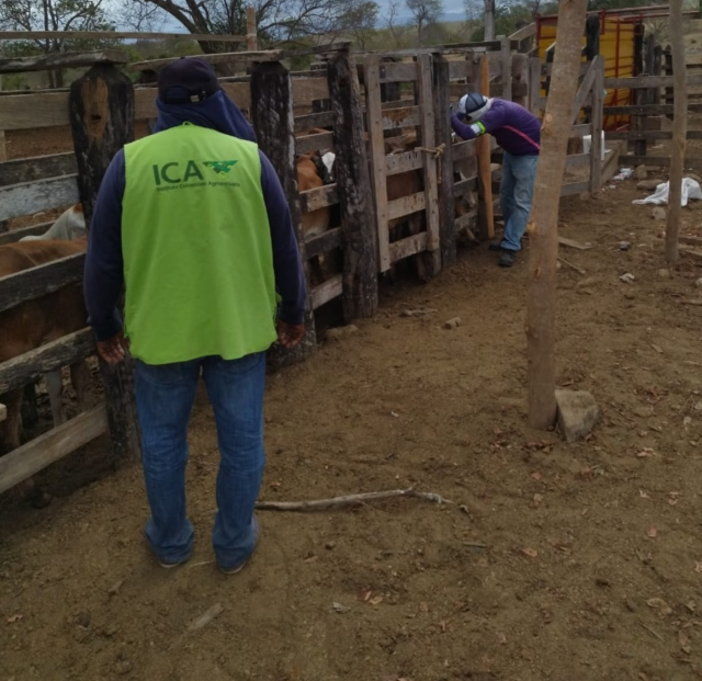 Foto-ICA-Supervision-vacunacion-frontera-La-Guajira-1.png