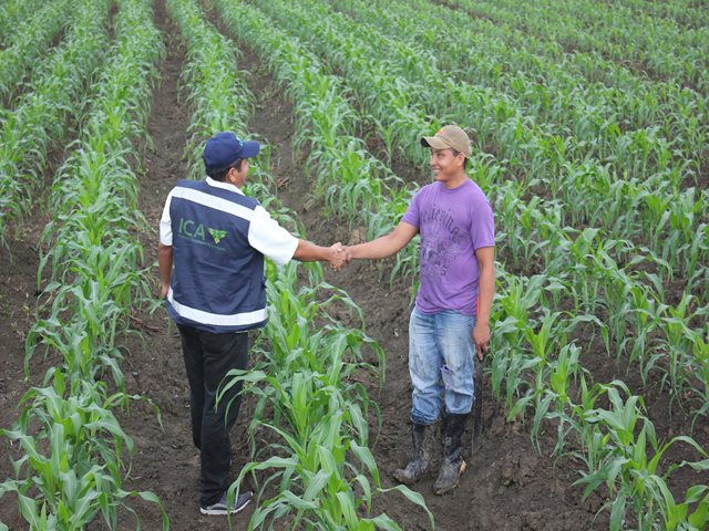 El ICA se prepara para la feria Agroexpo 2019