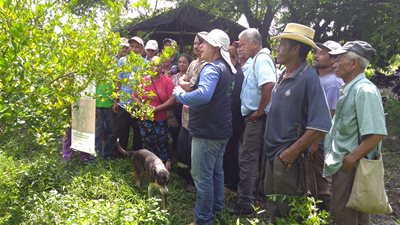 Agricultores-del-Magdalena-aprendiendo-a-inspeccionar-los-arboles-para-la-deteccion-de-sintomas-de-la-enfermedad-3.jpg