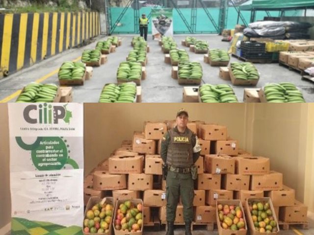  En zona de frontera, el CIIIP incautó cerca de 80 millones de pesos en productos agropecuarios