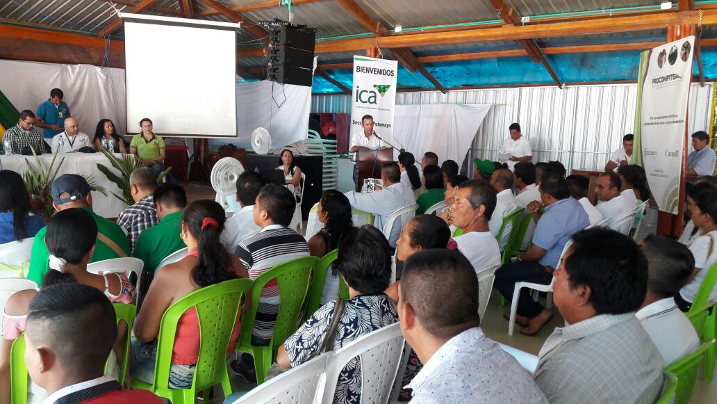 Certificaciones-Putumayo-3.jpg
