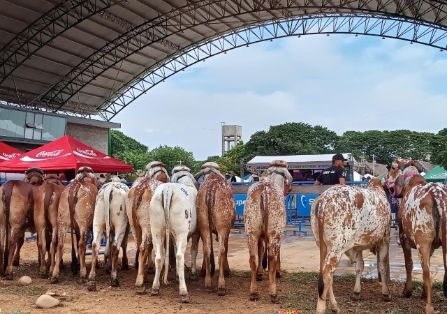 Foto-Seguimiento-y-control-durante-la-42°-Feria-de-Exposicion-Ganadera-y-Agroindustrial-de-Valledupa.jpg