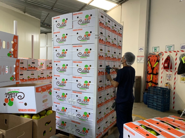 Foto-ICA-23-toneladas-de-naranjas-listas-exportacion-a-Republica-Dominicana.jpg Foto-ICA-23-toneladas-de-naranjas-listas-exportacion-a-Republica-Dominicana.jpg
