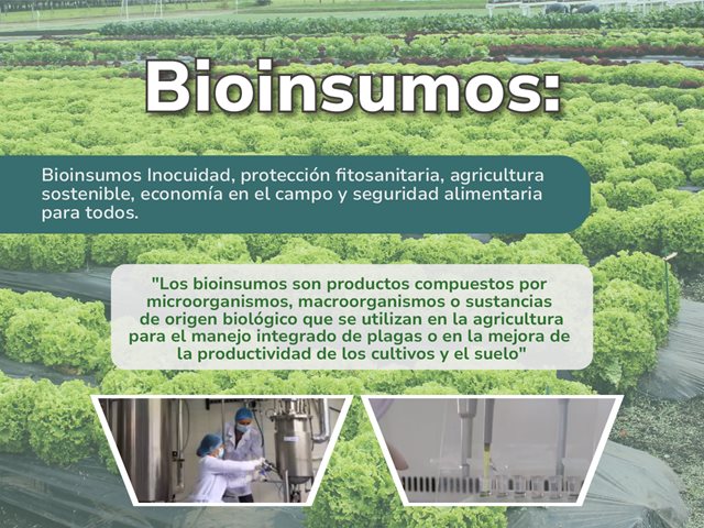 Bioinsumos agrícolas. 