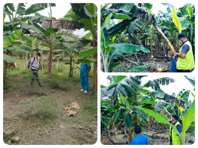El ICA Guainía visitó cultivos de comunidades indígenas en el río Guaviare