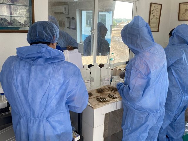 Estudio epidemiológico en granjas camaroneras 