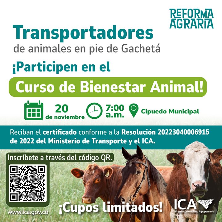 TRANSPORTADORESBIENESTARANIMAL.jpg