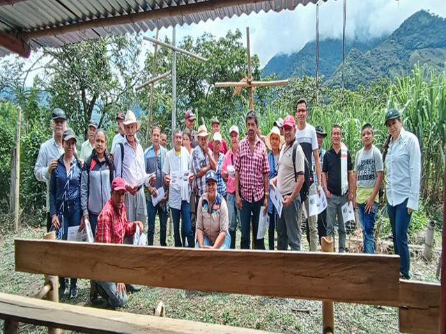 70 productores de caña panelera en Anserma y Supía, Caldas, se capacitaron en manejo de plagas del cultivo  