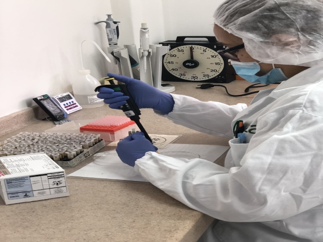 Análisis anemia infecciosa equina Arauca