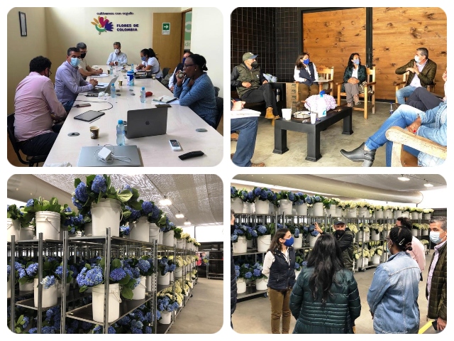 El ICA realizó Mesa Técnica con el gremio floricultor en Antioquia