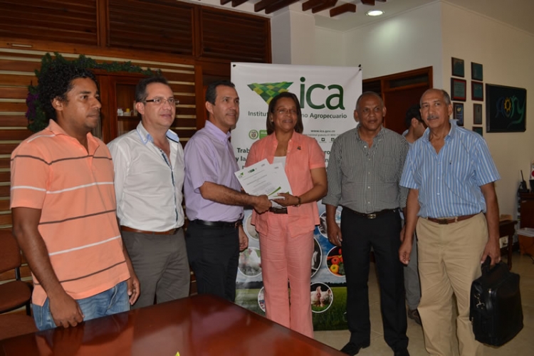 San Andrés y Providencia libres de tuberculosis y brucelosis bovina