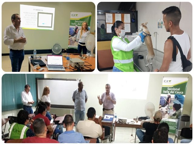 Taller con médicos veterinarios del Valle. 