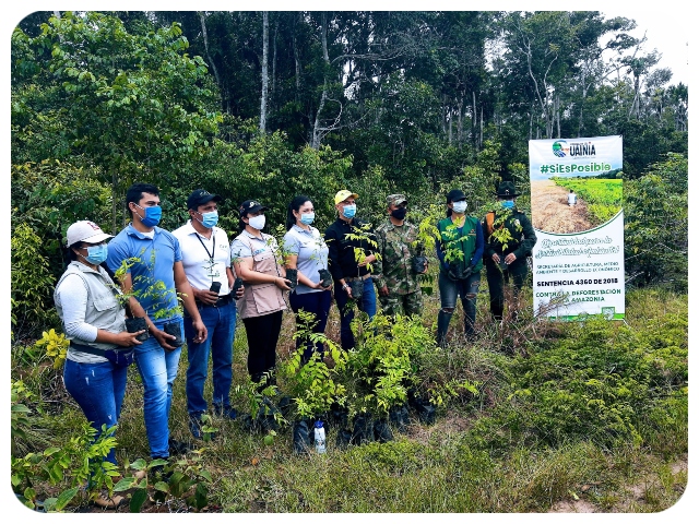El ICA Guainía conmemora el Día del Árbol