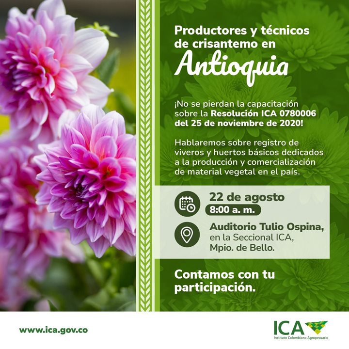 Antioquia-2.jpeg