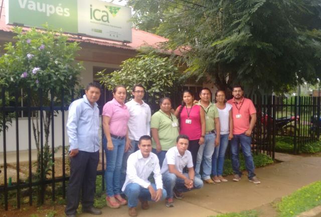 El ICA realizará control a 250 aves de corral para evitar influenza aviar y la enfermedad de Newcastle en Vaupés