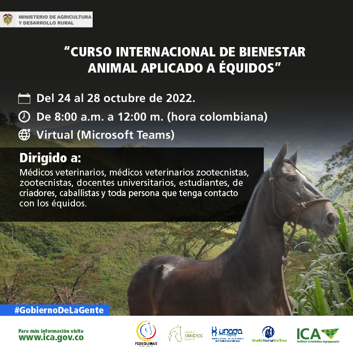 BIENESTAR-ANIMAL-APLICADO-A-EQUIDOS_Mailling.jpg BIENESTAR-ANIMAL-APLICADO-A-EQUIDOS_Mailling.jpg