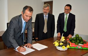 Aguacate-Hass-5.JPG
