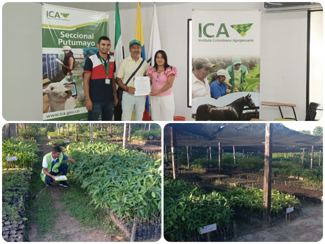 Con un nuevo vivero registrado, el ICA promueve la legalidad en la comercialización de material vegetal