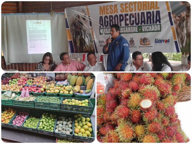 En Casanare, el ICA participó en la primera Mesa Sectorial Agropecuaria 