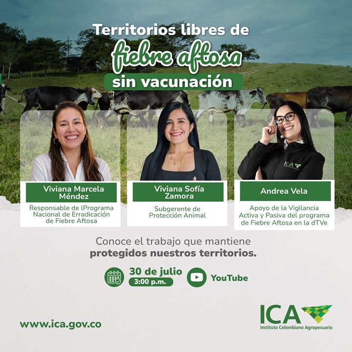CHARLA-INNOVADORA.jpeg