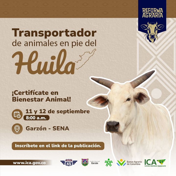 Transporte-Huila.jpeg