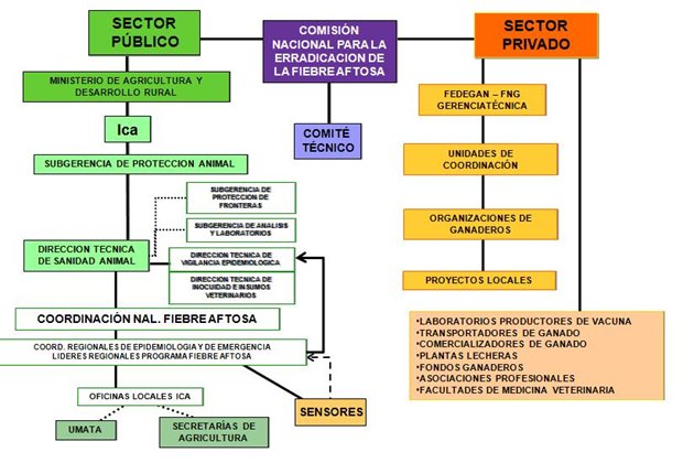 Estructura.jpg