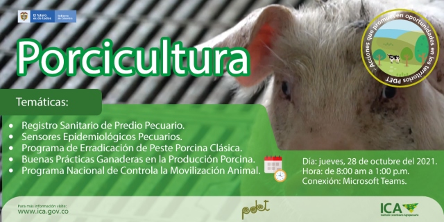 Campana-PDET-TW-Porcicultura-1.jpg Campana-PDET-TW-Porcicultura-1.jpg