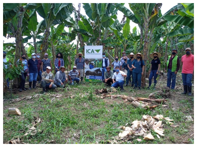 Capacitación a los integrantes de la asociación VICAMPAZ.