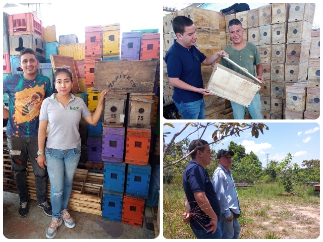 Para preservar la vida y la agricultura, apicultores de Chaparral protegen las abejas 