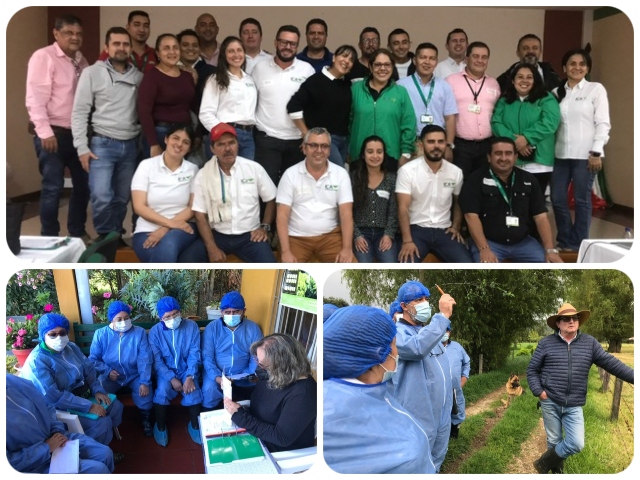 Formación de profesionales como auditores en BPG