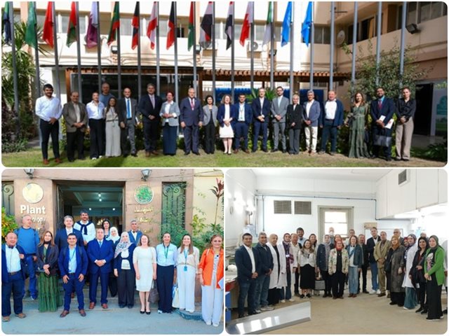 Egipto, Colombia y Perú: cooperación sur-sur, una alianza estratégica para fortalecer la certificación y calidad del algodón colombiano