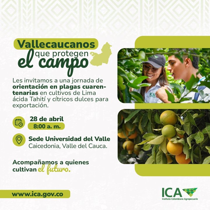 ICACITRICOS.jpeg