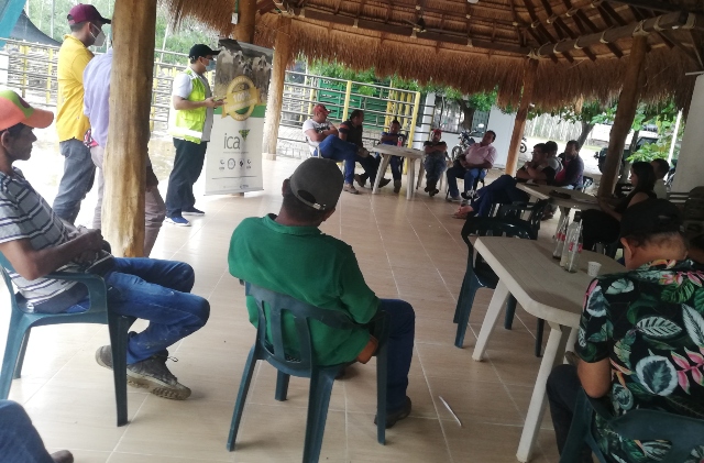 Foto-ICA-Supervision-subasta-Sucre-2.jpg