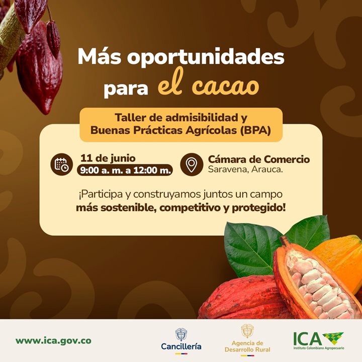 CACAO.jpeg CACAO.jpeg