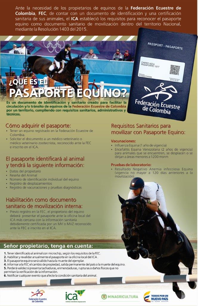 Abrir Infografia en PDF