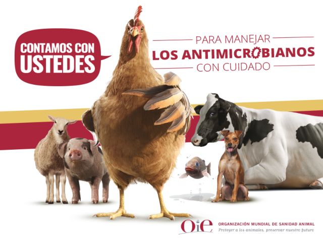 El ICA y organismos internacionales, unidos por el uso responsable de los antibióticos