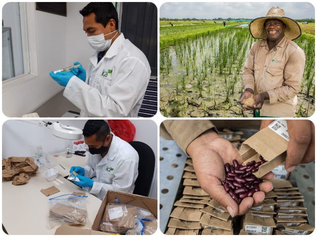  Exitosa alianza con el CIAT 