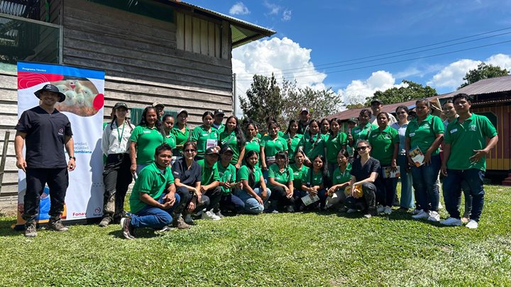 ICA-AMAZONAS-2872026.jpg