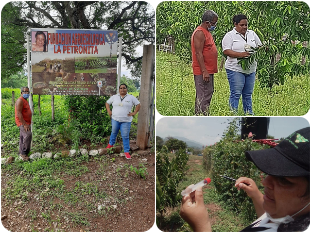 Apoyo a centro Agroecológico 