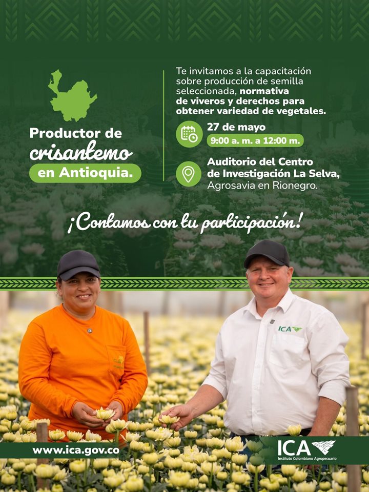 ANTIOQUIA.jpeg