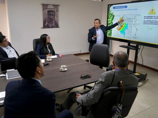 Más de 34 mil millones de pesos se han invertido en la contención del Fusarium y en la sanidad de los cultivos de plátano y banano 