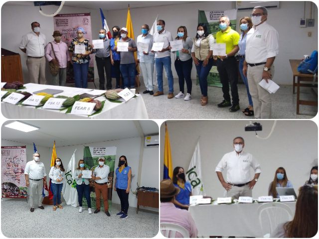 Productores de cacao y plátano del Cesar son certificados por el ICA 
