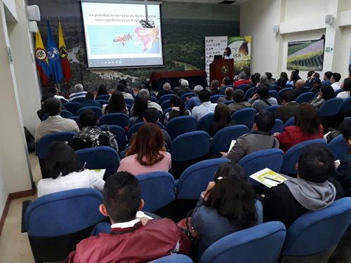 Fotos-Abejas-2.jpg