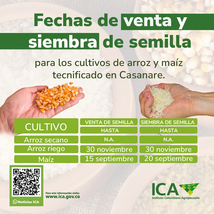 ICASEMILLASCASANARE.jpg