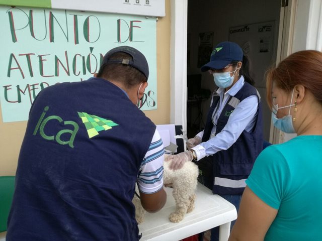 El ICA realiza plan especial de inspección, vigilancia y control en el municipio de Mocoa