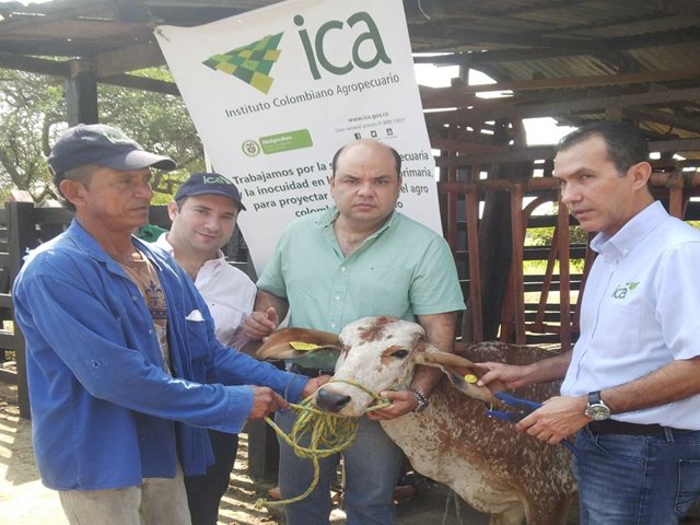 El ICA inicia el programa IdentifICA, para garantizar la trazabilidad animal
